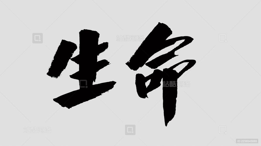 生命设计