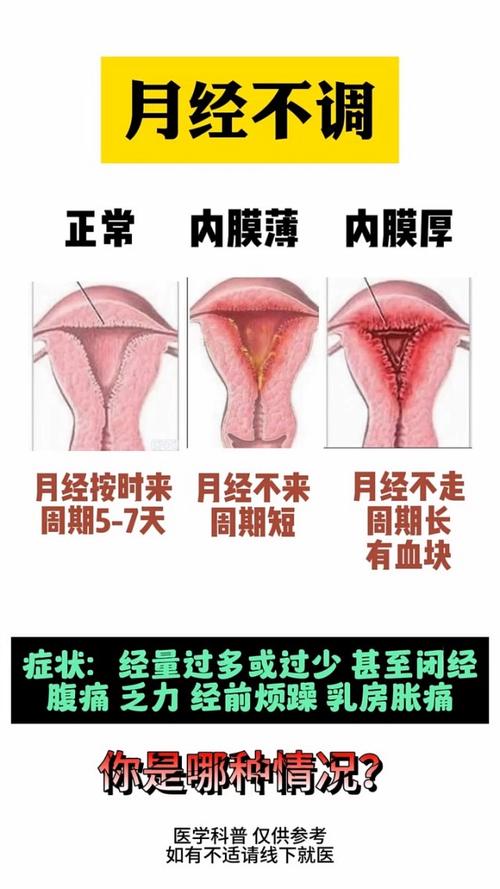 子宫内膜状态