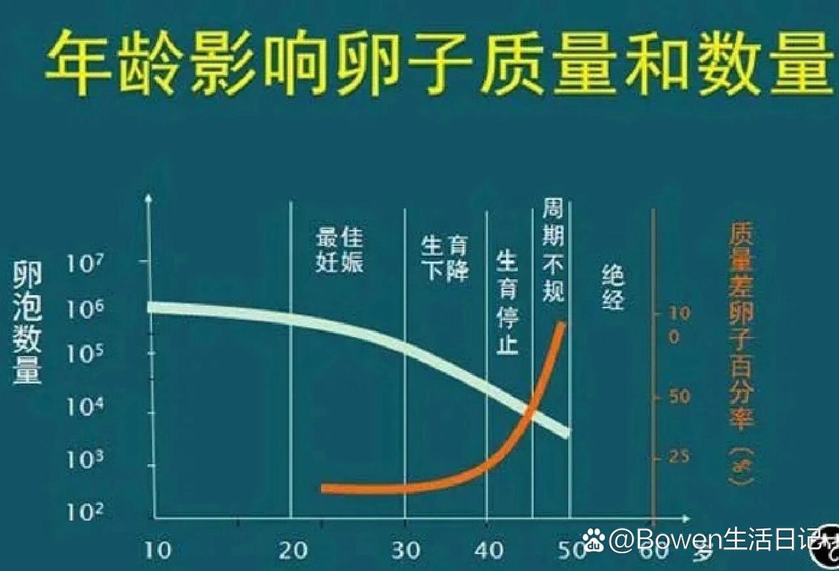  生育力