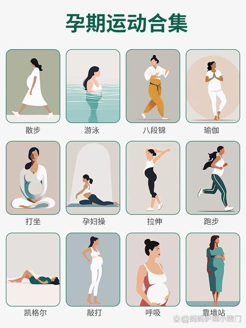 备孕运动