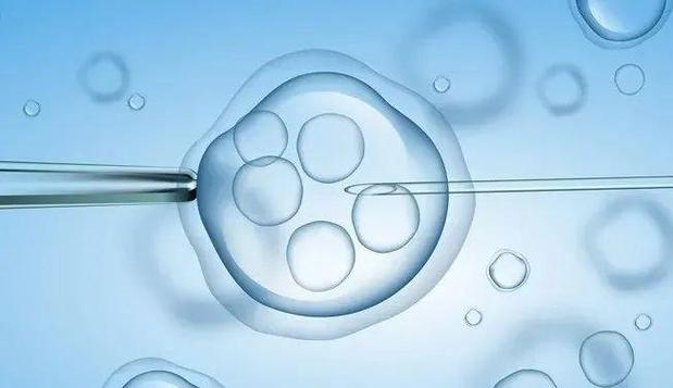 试管婴儿：挑选合适的胚胎数量，是关键吗？