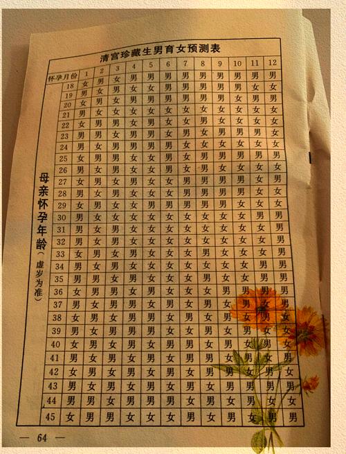 宝宝性别预测