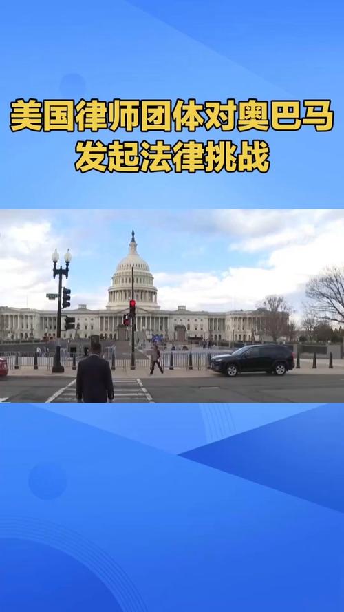  法律挑战
