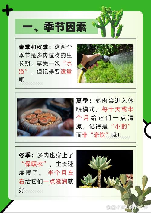 季节因素