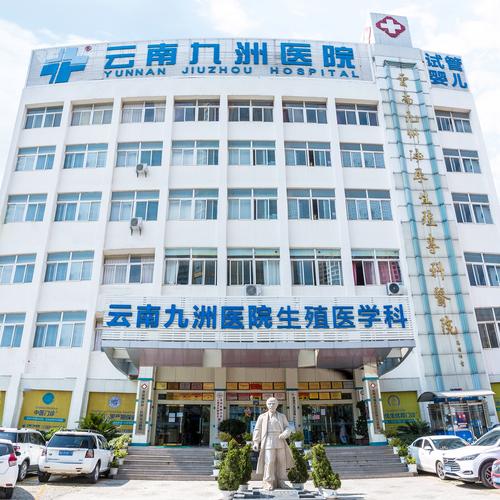云南九洲