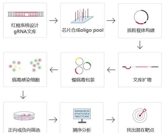 筛选优良基因