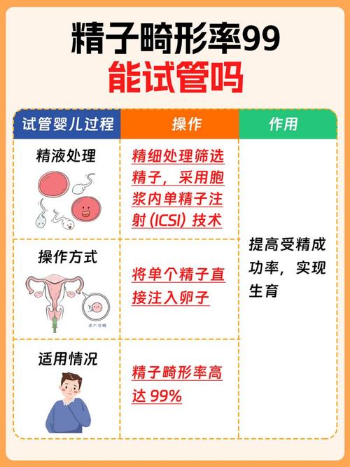 探索精子库混血试管婴儿的未来选择与可能性