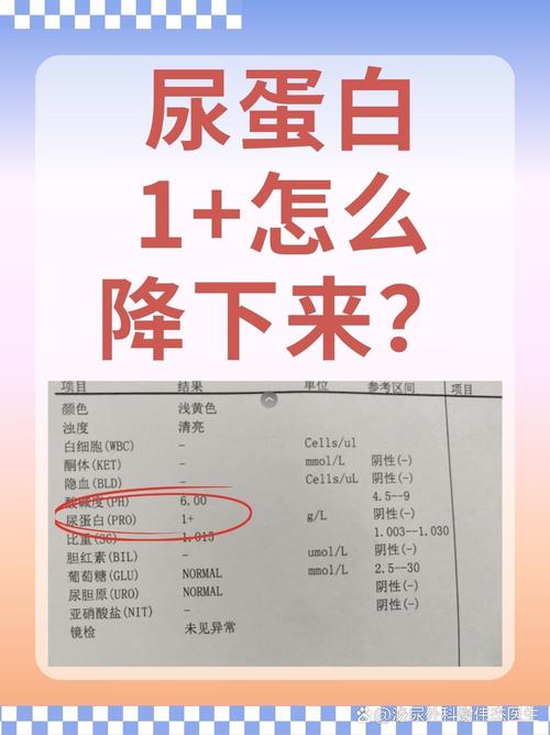 尿蛋白异常