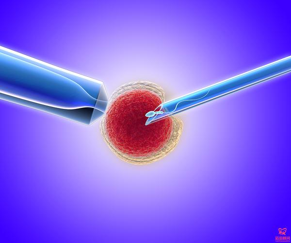 有肾病患者能否顺利进行试管婴儿治疗？