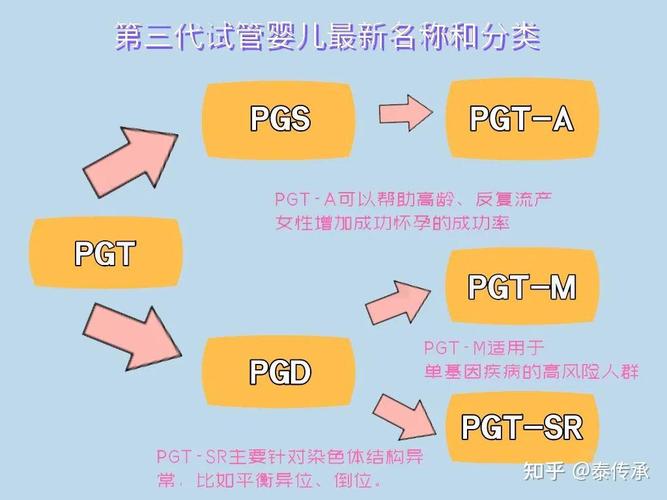 三代试管婴儿的性格特点：是否真的更活泼？