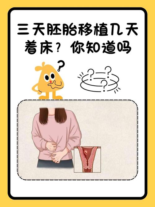 试管婴儿手术后在家休养需要多久？