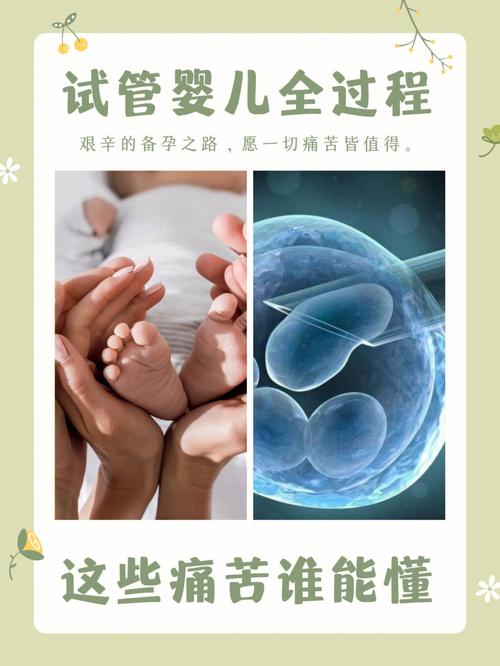 试管婴儿：母体经历的痛苦和挑战同在吗？
