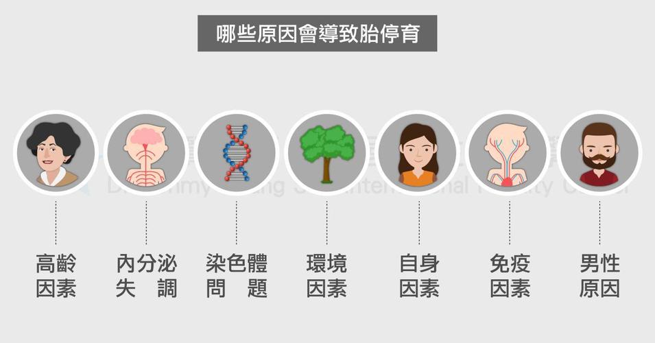 试管婴儿胚胎停育原因及对策是什么？