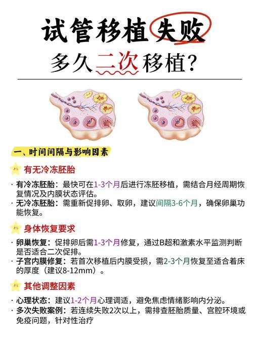  二次移植