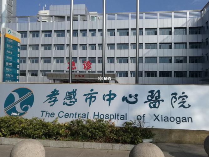 孝感试管婴儿医院