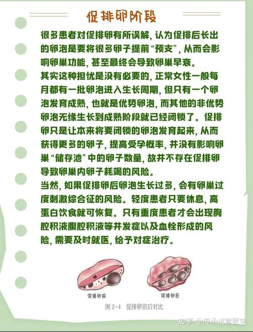 试管婴儿对身体的伤害有哪些？