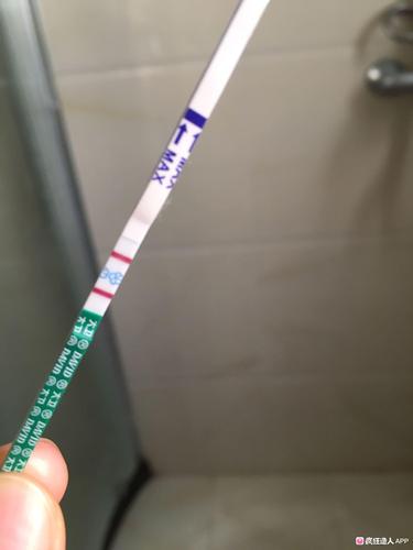 试管婴儿移植后胸部胀痛是正常反应吗？