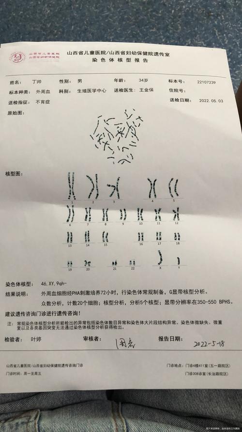 染色体情况