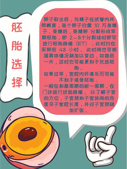 胎儿发育
描述: 本文围绕试管婴儿选择最佳受孕月份展开，分析了四季对试管婴儿的影响，阐述受孕月份与胎儿发育、分娩的关系，并从自身状况、工作生活及医生建议等方面给出个性化建议，助力夫妻迎来健康宝宝 。