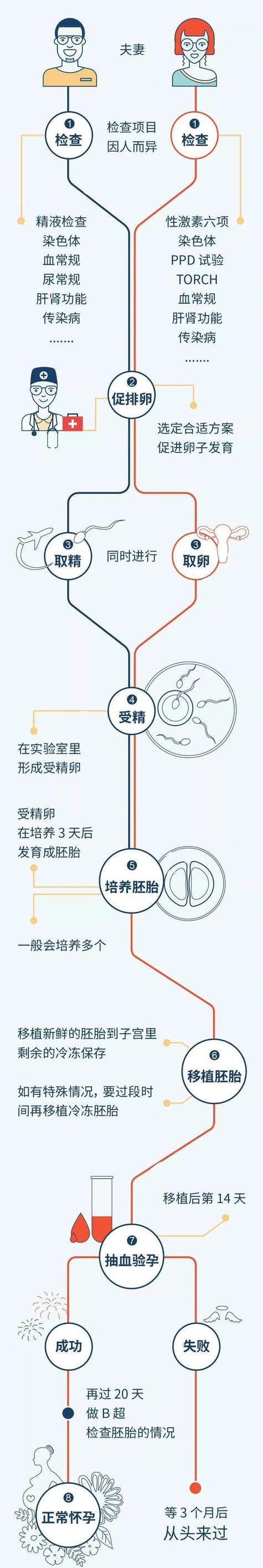 试管婴儿：道德与法律的交叉点吗？