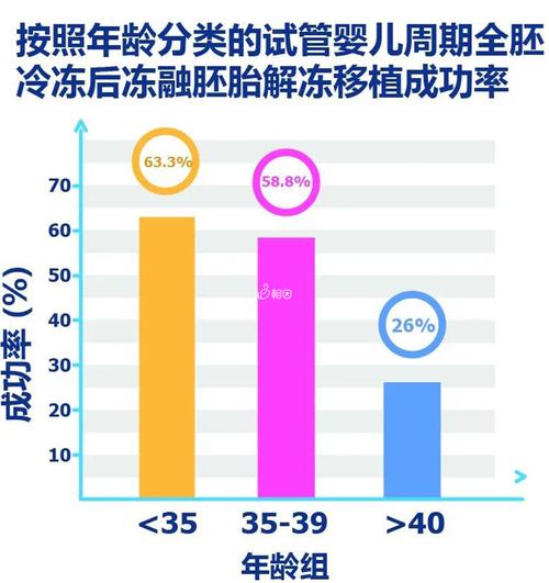 试管婴儿胚胎解冻过程的成功几率有多高？