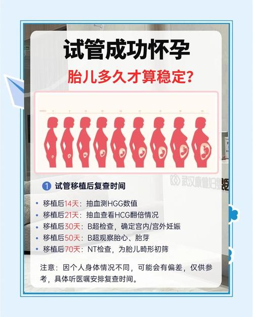 试管婴儿成功的秘密：孕酮真的重要吗？