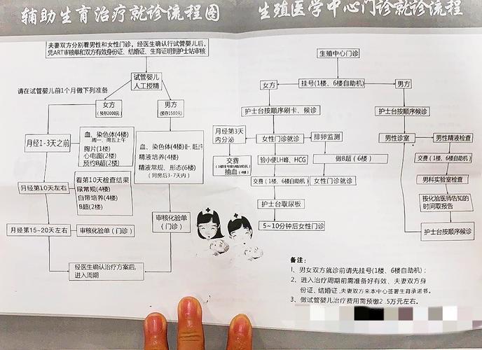 试管婴儿移植后如何进行胚胎检测？