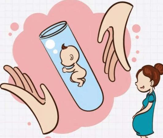 试管婴儿能否通过鹿胎胶囊提高成功率？