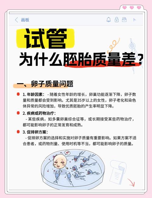 关于试管婴儿的成功率，你想知道哪些？