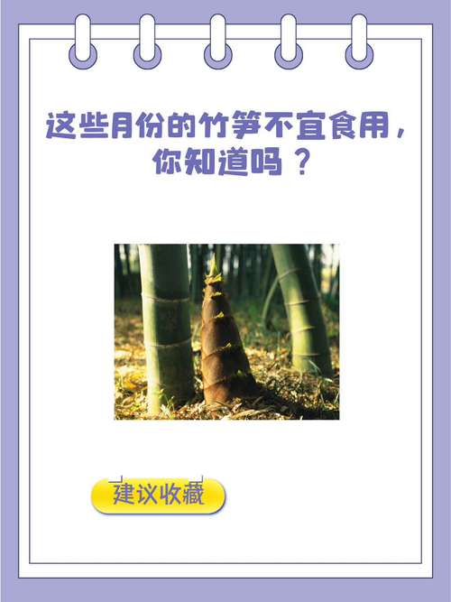 试管婴儿营养问题：竹笋可否食用？