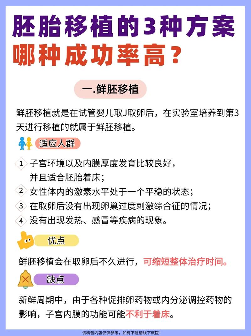 探寻试管婴儿：移植哪种胚胎最佳？