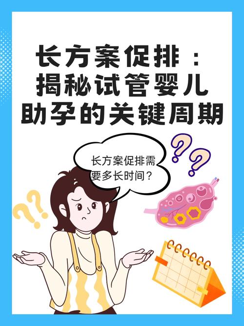 试管婴儿助孕的法律界限：合法还是违法？