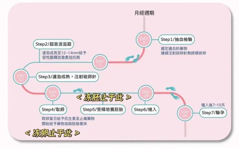 冻胚移植对婴儿健康的影响探讨：安全吗？