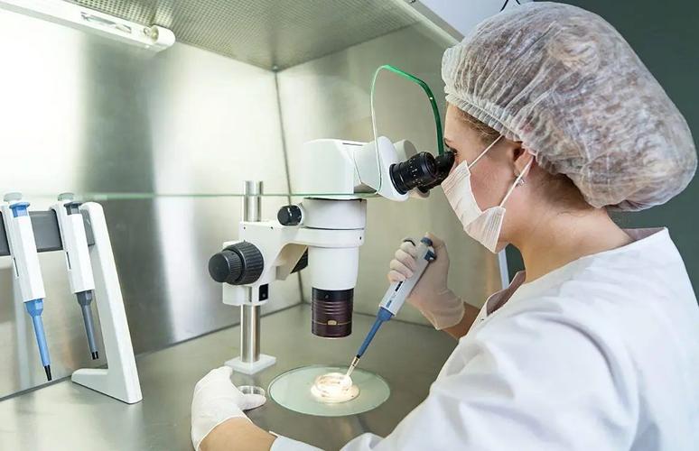 河北保定医院试管婴儿成功率知多少？