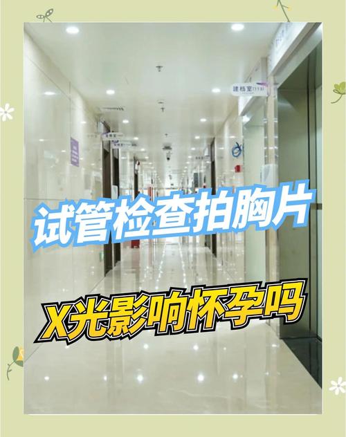 试管婴儿安全检查：胸片照射是否可行？
