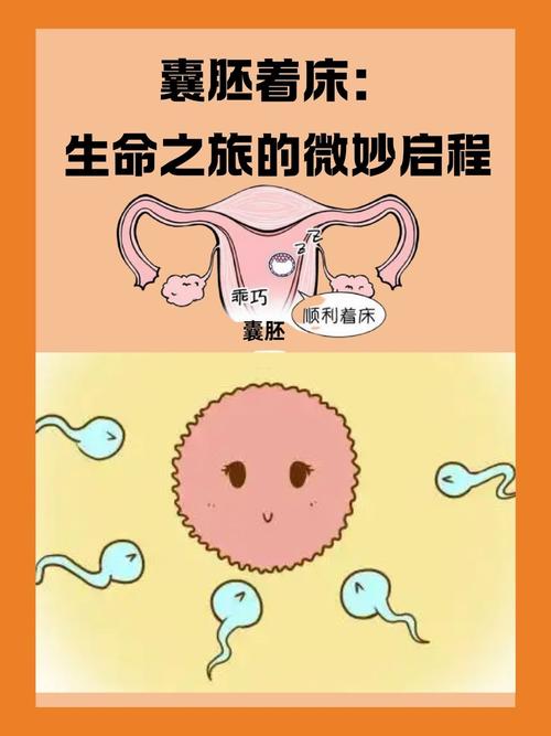 试管婴儿还要同房吗？神奇的生育旅程揭秘！