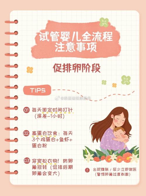 试管婴儿护理指南：如何保养更好？