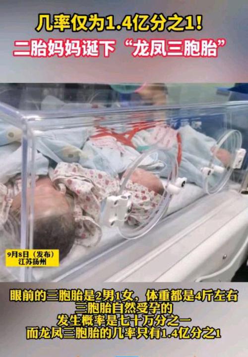  三胞胎几率