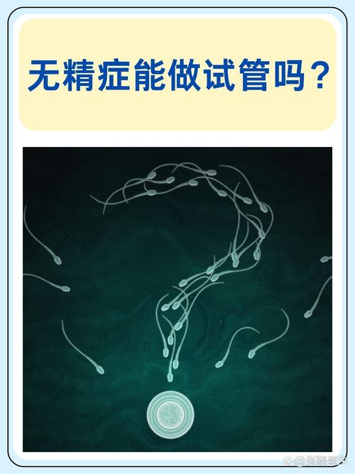 少精症患者能否通过试管婴儿实现生育梦想？