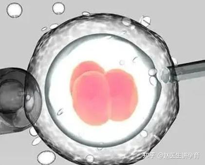 试管婴儿失败：多个胚胎都没配成？