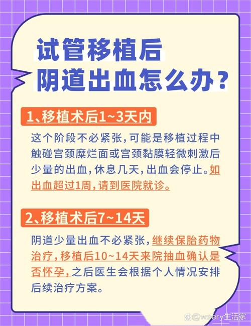 试管婴儿移植后出现出血迹象，如何处理？