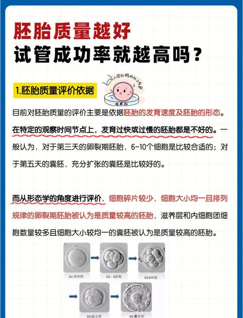 试管婴儿成功率与生化妊娠的关系是什么？