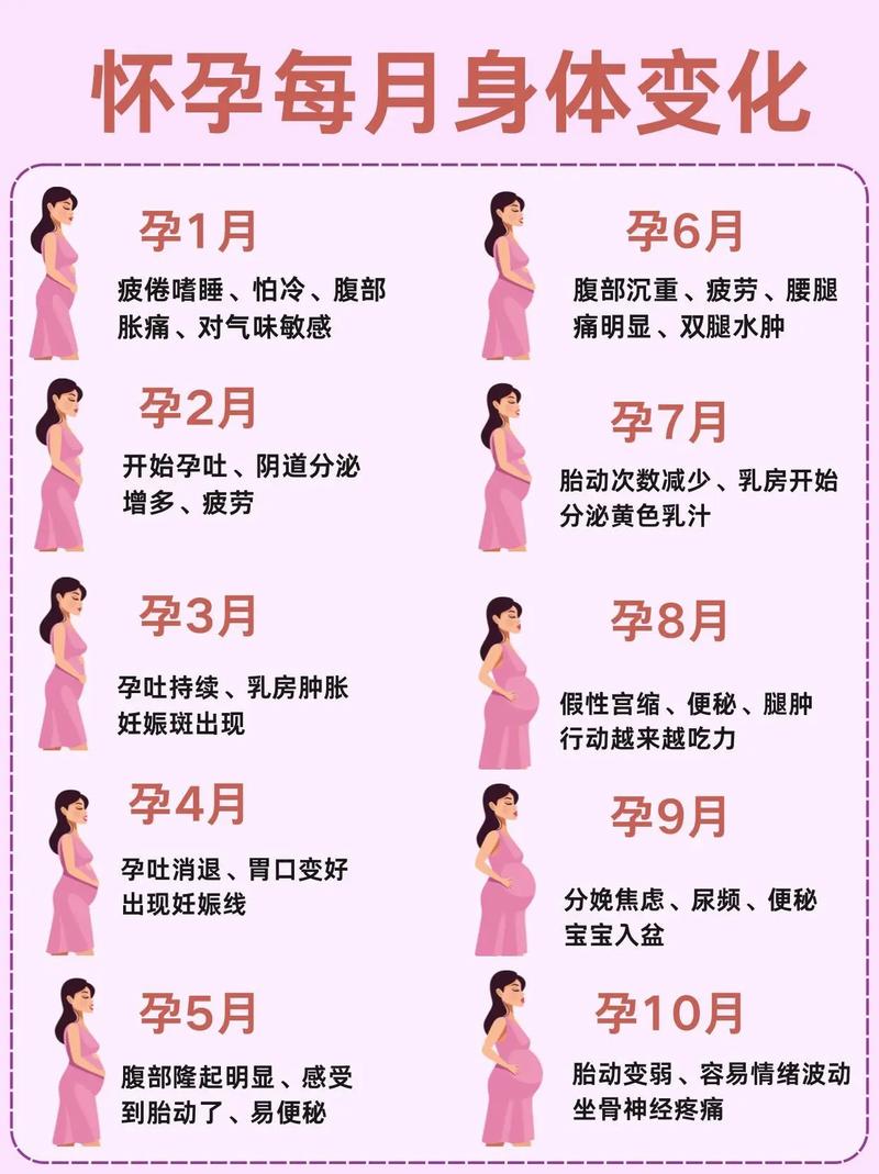 受孕月份