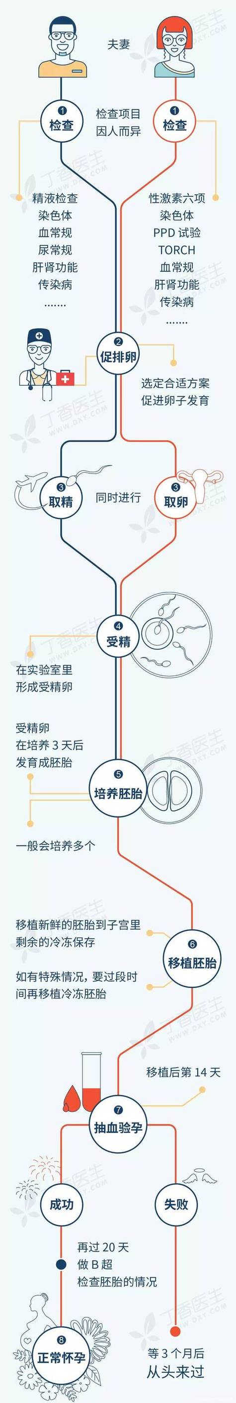 孕妇如何度过试管婴儿周期的每个阶段？