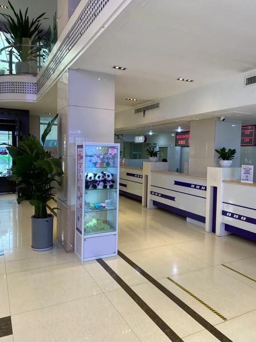 宁波试管婴儿机构推荐：哪个地方最专业？