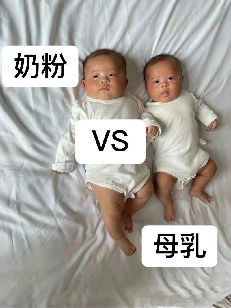 试管婴儿的喂养方式：母乳还是奶粉？