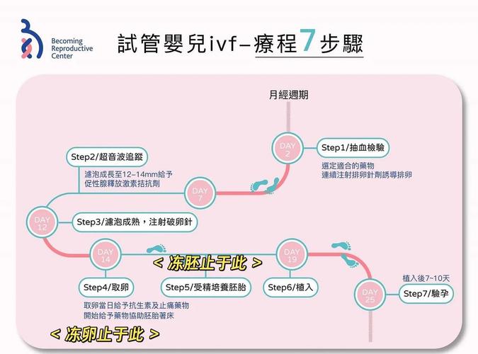 试管婴儿与冻卵的关系：需要提前做准备吗？