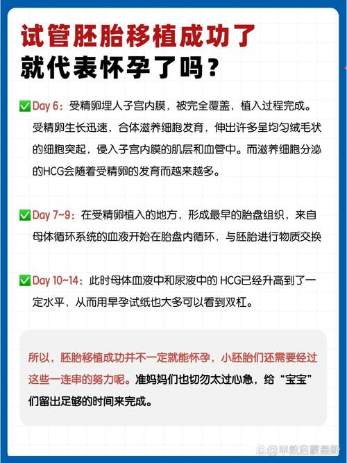 试管婴儿移植后多长时间能成功受孕？