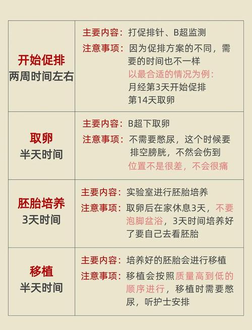 试管婴儿过程推动，准备请几天假如何安排？