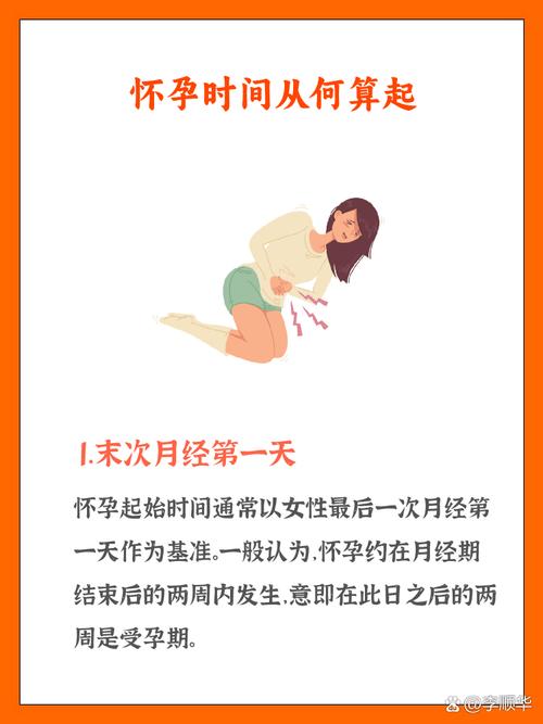 试管婴儿妊娠周期：从受精到分娩需要多久？